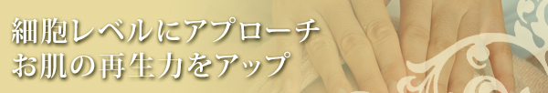 自由が丘のエステ&アロマ・サロン、アロママッサージ、リンパドレナージュ、フェイシャル、ドクタルノー|目黒、エフェクティブタッチ