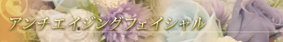 自由が丘のエステ&アロマ・サロン、アロママッサージ、リンパドレナージュ、フェイシャル、ドクタルノー|目黒、エフェクティブタッチ