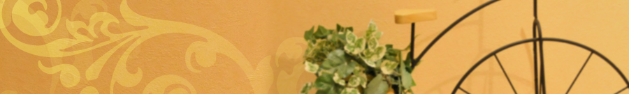 自由が丘のエステ&アロマ・サロン、アロママッサージ、リンパドレナージュ、フェイシャル、ドクタルノー、キャロルフランク|目黒、エフェクティブタッチ